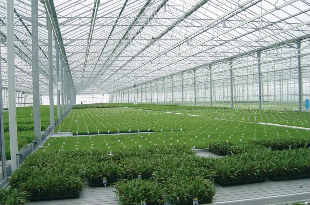 谁说只有玻璃才能成就建筑美学？